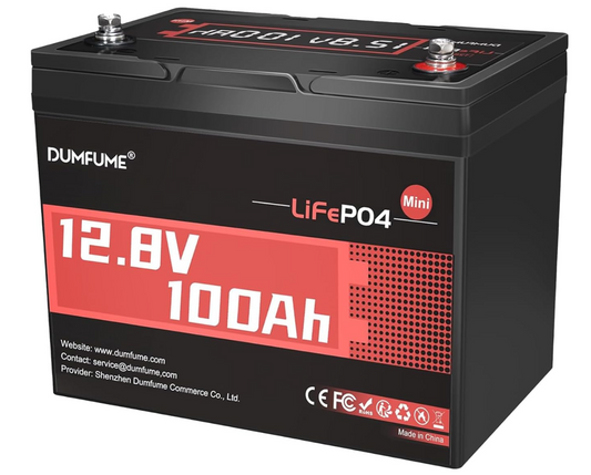 12V 100Ah LiFePO4 Lithium Battery, Built-in 100A BMS, 1280Wh, Up To 6000+ Cycles, Ideal For RV, Solar Off-Grid Systems